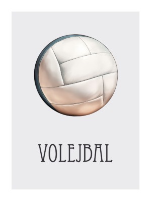 Dětský plakát Volejbalový míč 033